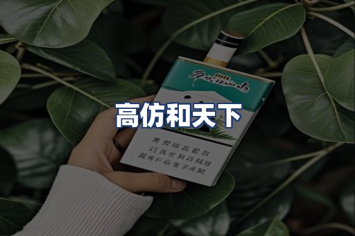 高仿和天下